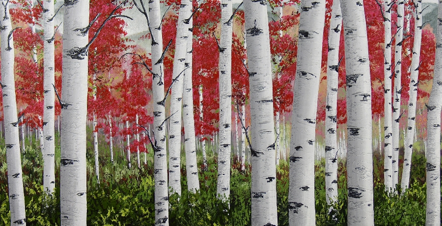 danie-marais--autumn-canadian-birch