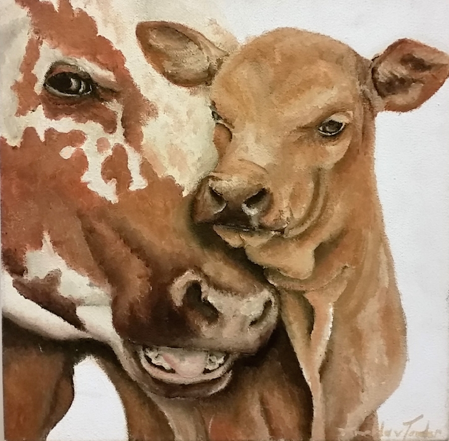 amelda-van-tonder--cow-and-calf
