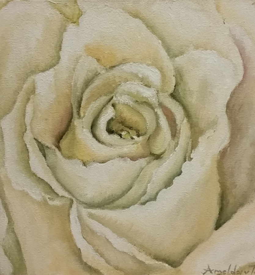 amelda-van-tonder--white-rose